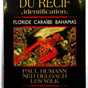 Créatures du récifs Caraïbes