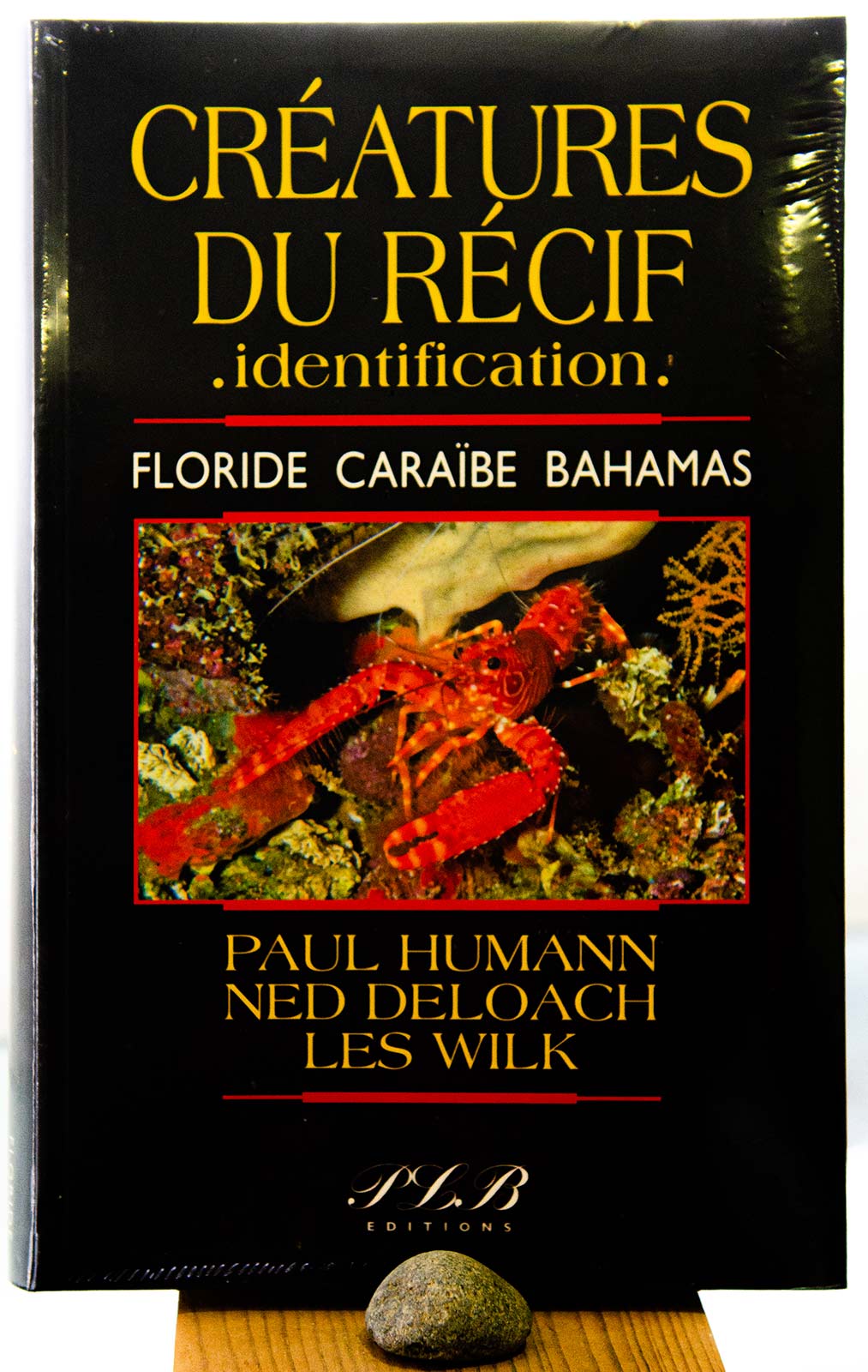 Créatures du récif