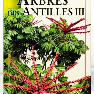 Arbres des Antilles Tome 3