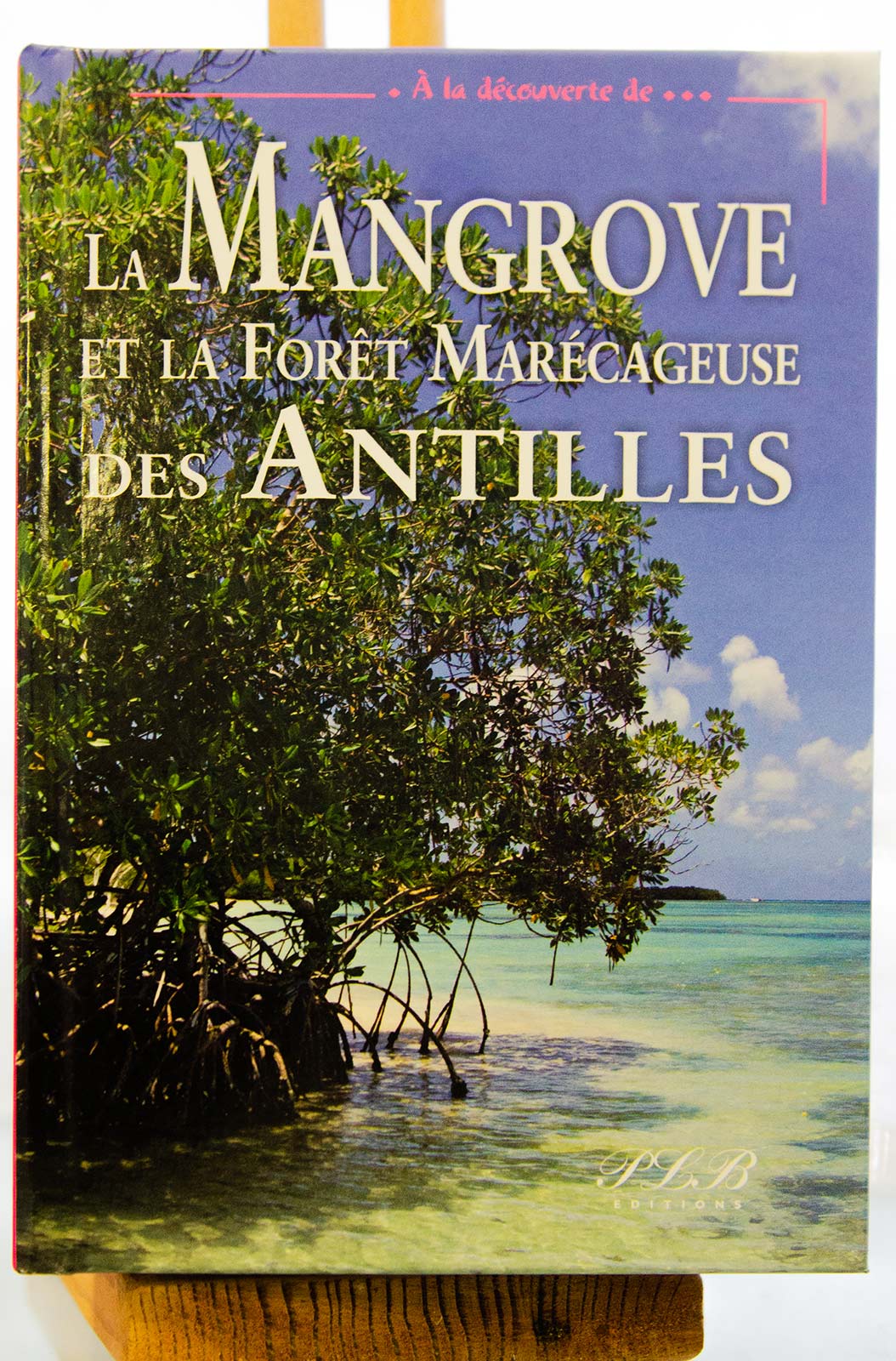 La Mangrove et la Forêt Marécageuse des Antilles