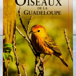 Oiseaux de la Guadeloupe