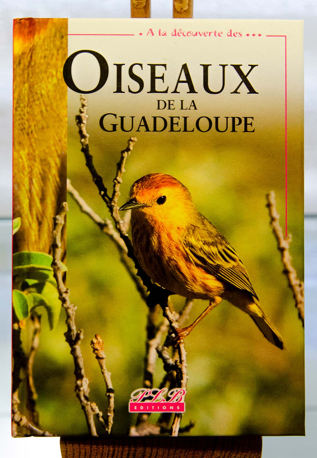 Oiseaux de la Guadeloupe