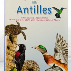Faune des Antilles