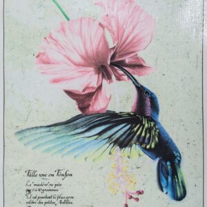Poster Le colibri madère