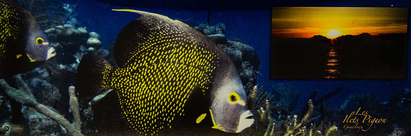 Poster Panoramique - Les Ilets Pigeon