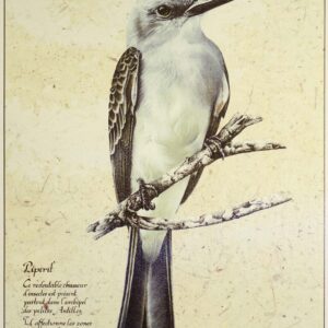 Poster Le tyran gris